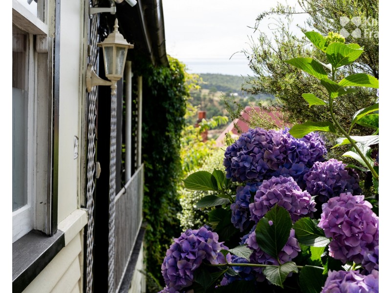 50 Main Street, Derby TAS 7264