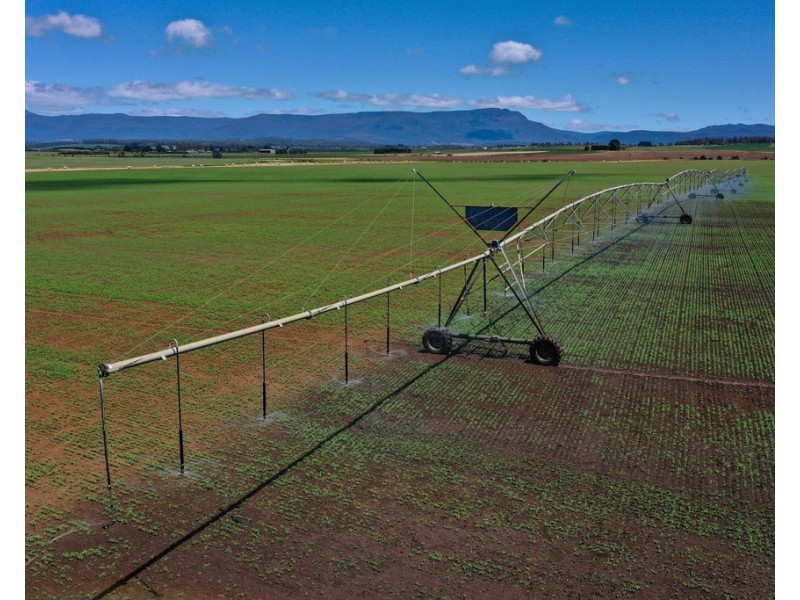 705 Maitland Lane, Cressy TAS 7302