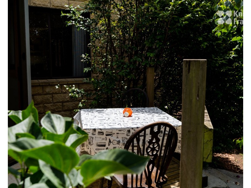 51 West Minstone Road, Scottsdale TAS 7260