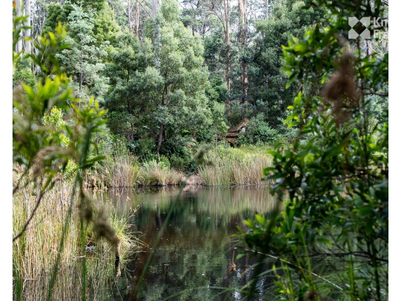 Lot 2 1366 Warrentinna Road, Branxholm TAS 7261