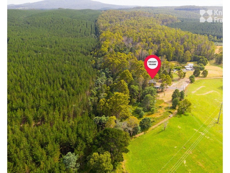 Lot 2 1366 Warrentinna Road, Branxholm TAS 7261