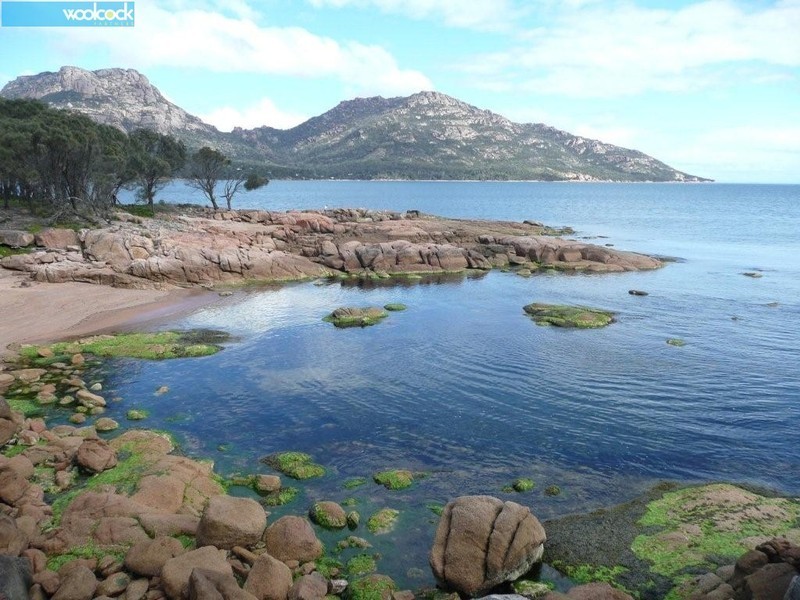 2/3 Bradley Drive, Coles Bay TAS 7215