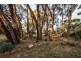 449 Glenwood Road, Relbia TAS 7258