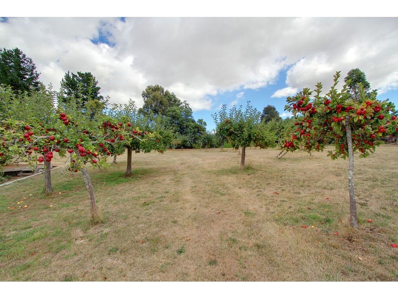 292 Leighlands Road, Evandale TAS 7212