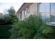 71 Lambert Street, Ravenswood TAS 7250