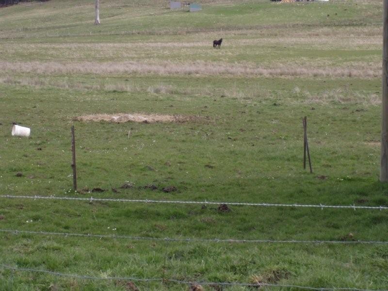 . Priestleys Lane, Birralee TAS 7303