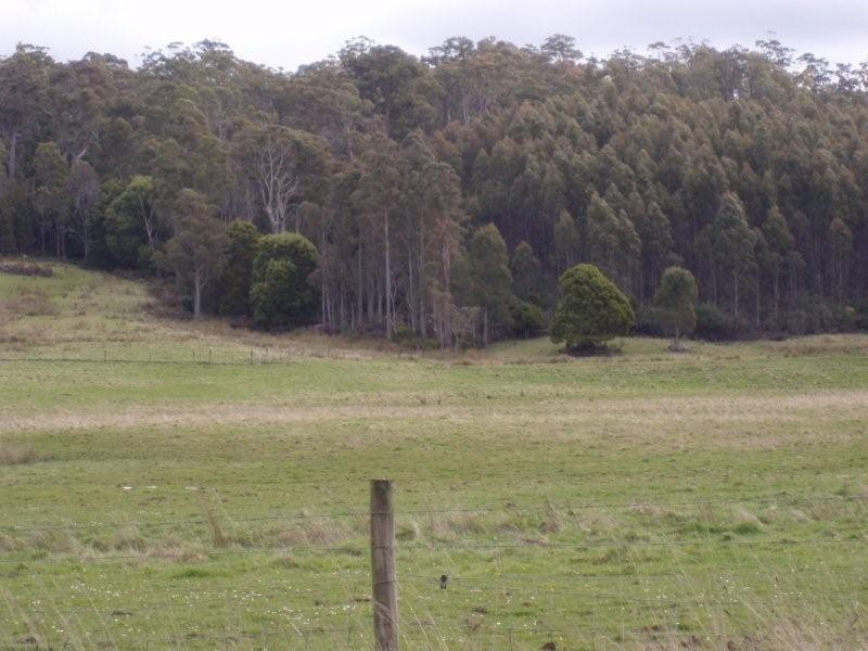 . Priestleys Lane, Birralee TAS 7303