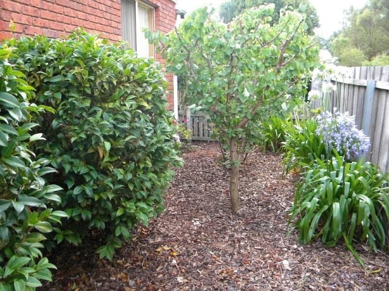 2/43  Pamela Court, Summerhill TAS 7250