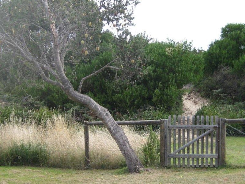 112 Swanwick Drive, Coles Bay TAS 7215