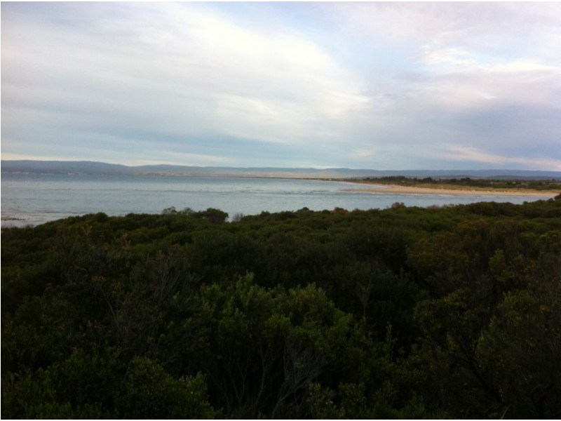 112 Swanwick Drive, Coles Bay TAS 7215