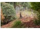 2 Illawong Place, Riverside TAS 7250