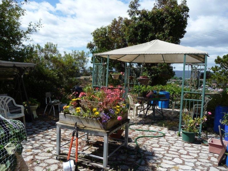 50 Shirley Place, Kings Meadows TAS 7249