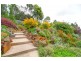 25 Allison Avenue, Riverside TAS 7250
