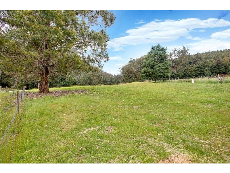 233 Camden Hill Road, Targa TAS 7259