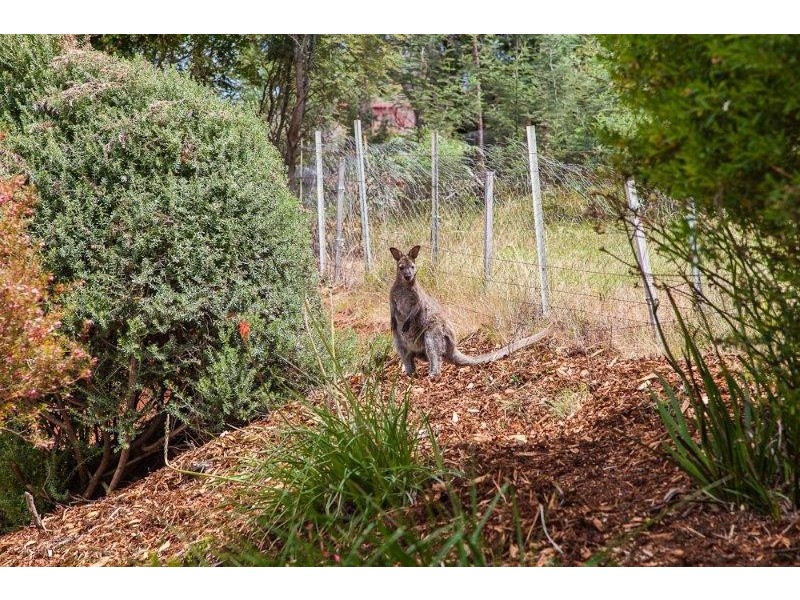 2 Illawong Place, Riverside TAS 7250