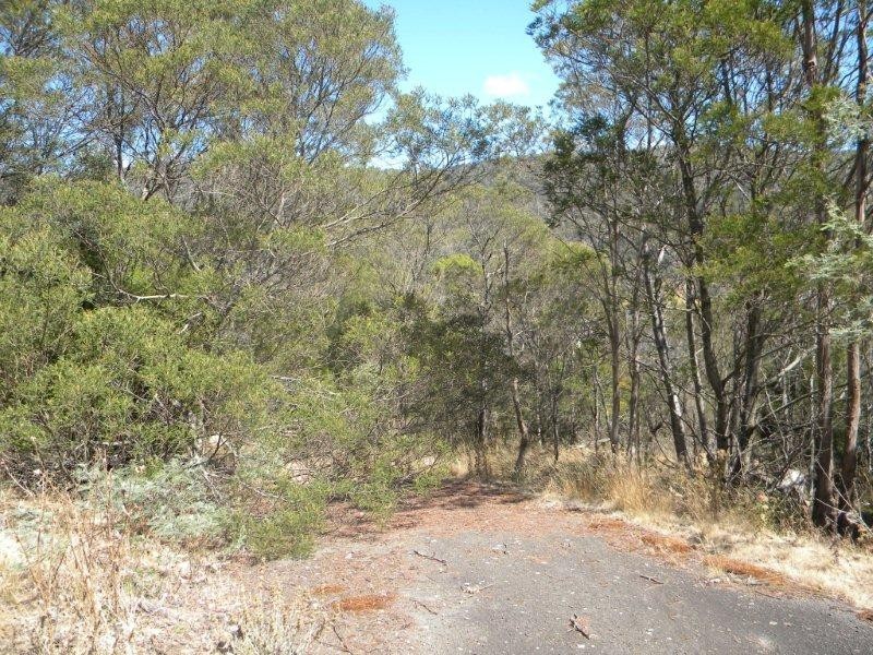 160 Blackstone Road, Blackstone Heights TAS 7250