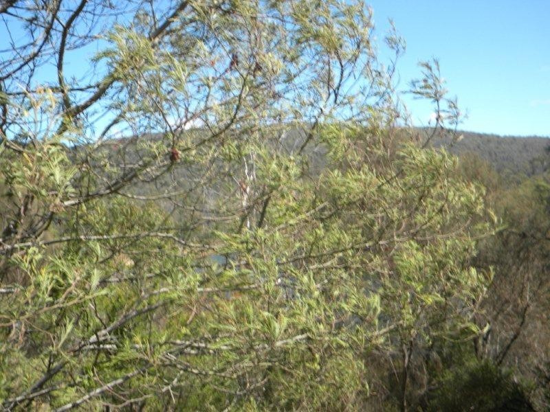 160 Blackstone Road, Blackstone Heights TAS 7250