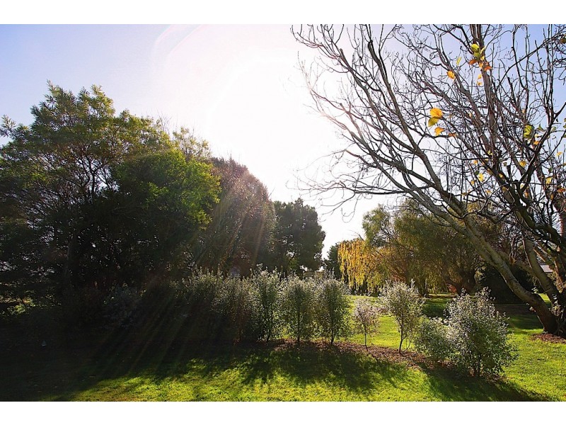 854 Hobart Road, Breadalbane TAS 7258