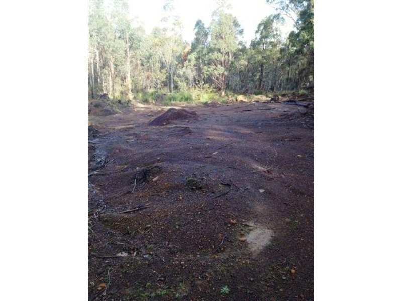 168 and 170 Magazine Road, Dilston TAS 7252