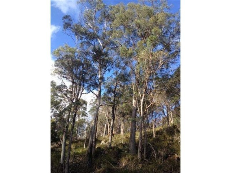 168 and 170 Magazine Road, Dilston TAS 7252