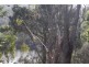 160 Blackstone Road, Blackstone Heights TAS 7250