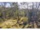 160 Blackstone Road, Blackstone Heights TAS 7250