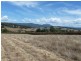 Lot 1 Cnr FiveAcre Row and Reid St, Westbury TAS 7303