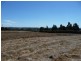 Lot 2 Cnr Five Acre Row and Reid Sts, Westbury TAS 7303