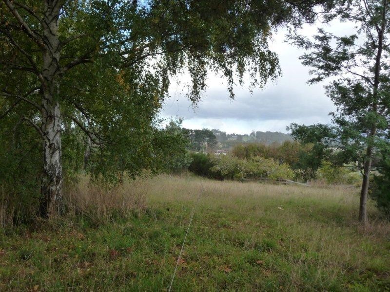 193 Veterans Row, Westbury TAS 7303