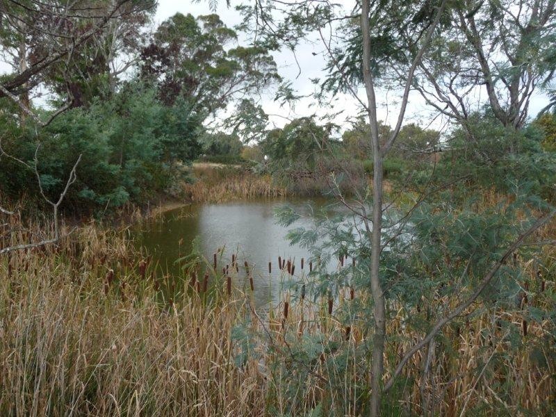 193 Veterans Row, Westbury TAS 7303