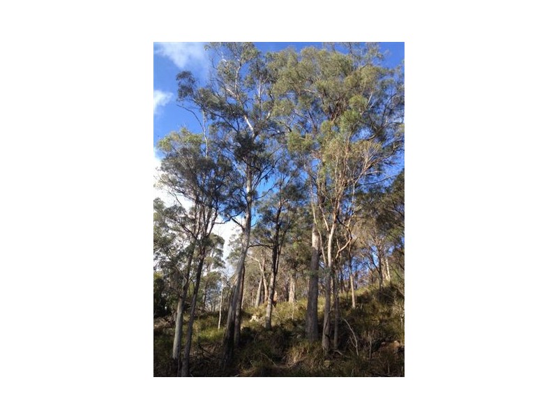 168 and 170 Magazine Road, Dilston TAS 7252