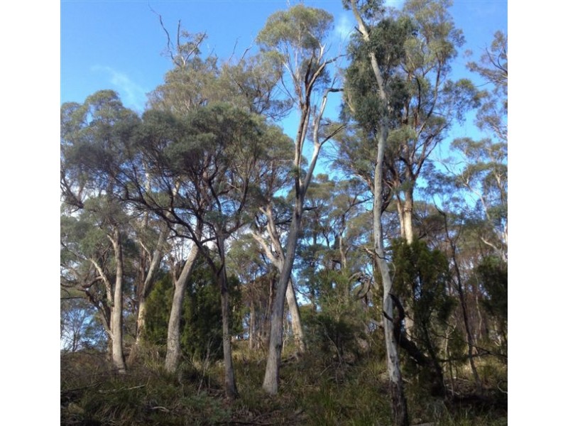 168 and 170 Magazine Road, Dilston TAS 7252