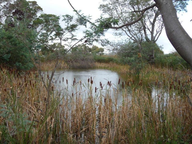 193 Veterans Row, Westbury TAS 7303