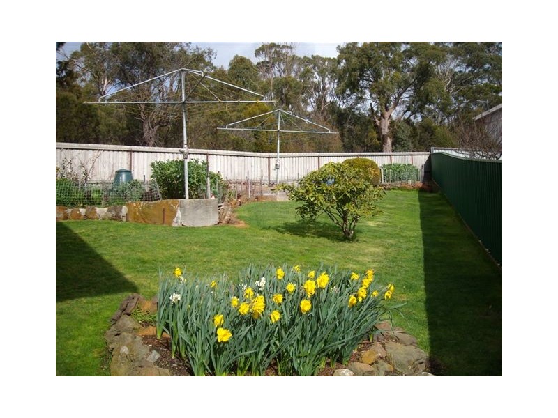 4/135 Punchbowl Road, Newstead TAS 7250