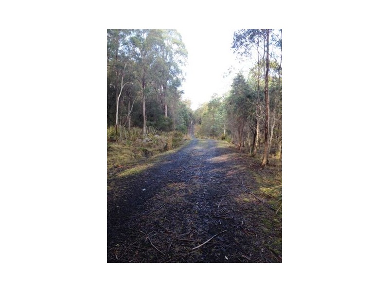 168 and 170 Magazine Road, Dilston TAS 7252