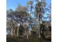 168 and 170 Magazine Road, Dilston TAS 7252