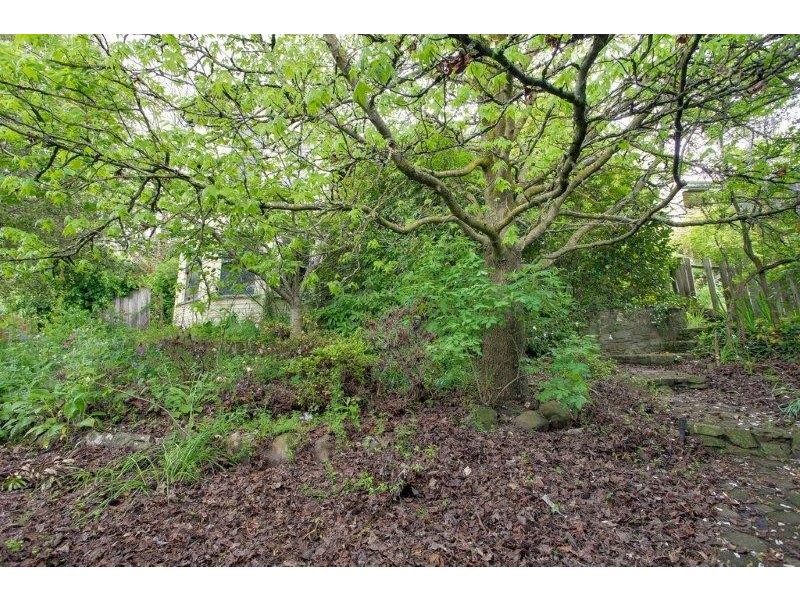 24 Abbott Street, East Launceston TAS 7250