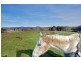 55 Arthur Street, Westbury TAS 7303