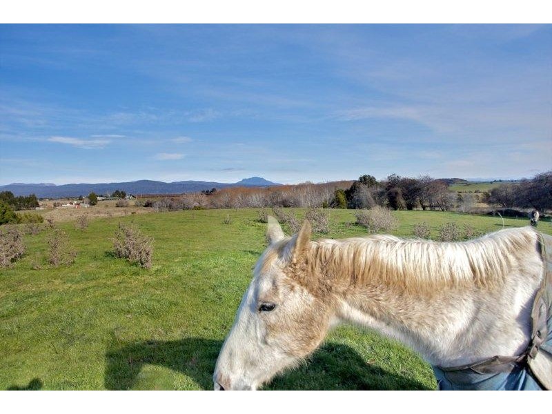 55 Arthur Street, Westbury TAS 7303