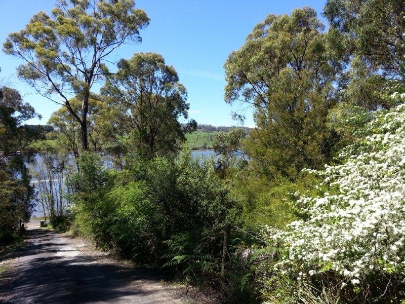 319 Rosevears Drive, Rosevears TAS 7277