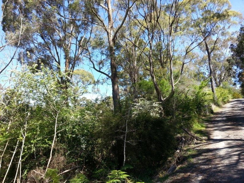 319 Rosevears Drive, Rosevears TAS 7277