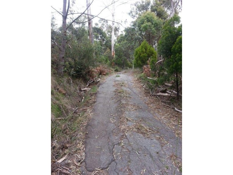 319 Rosevears Drive, Rosevears TAS 7277