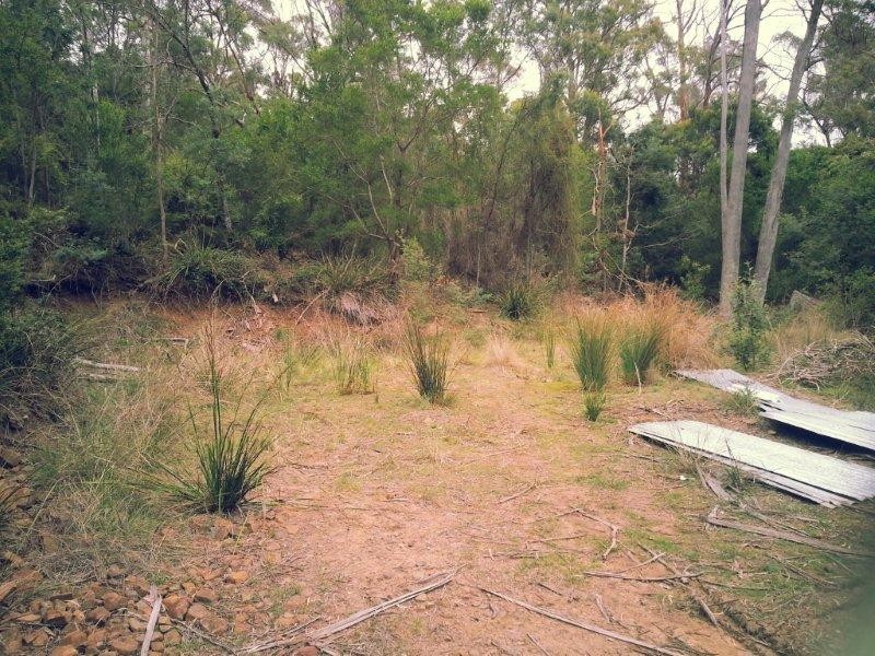 319 Rosevears Drive, Rosevears TAS 7277