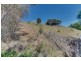 6 Lyne Court, Coles Bay TAS 7215