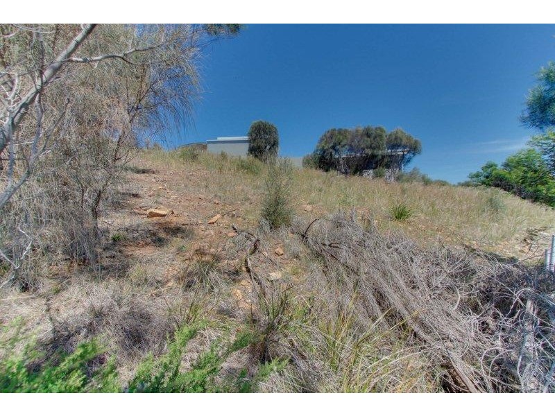 6 Lyne Court, Coles Bay TAS 7215
