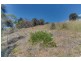 6 Lyne Court, Coles Bay TAS 7215