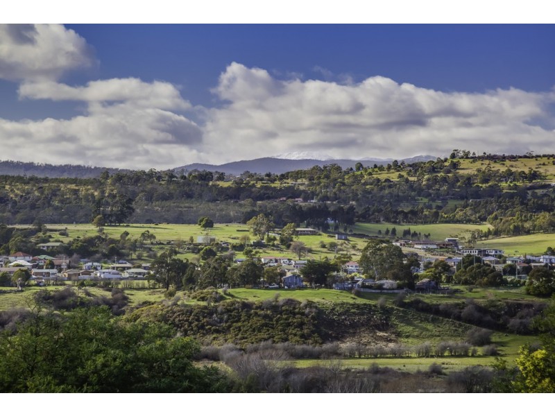 41 Brookdale Street, Norwood TAS 7250