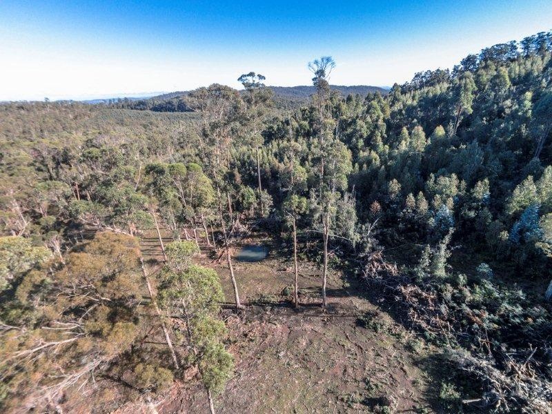 1/659 Lilydale Road, Underwood TAS 7268