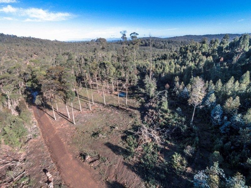 1/659 Lilydale Road, Underwood TAS 7268