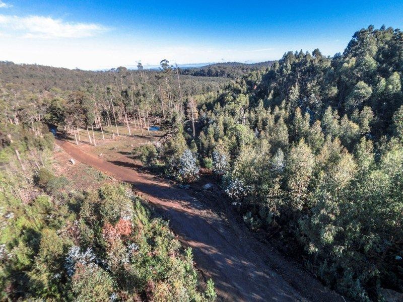 1/659 Lilydale Road, Underwood TAS 7268